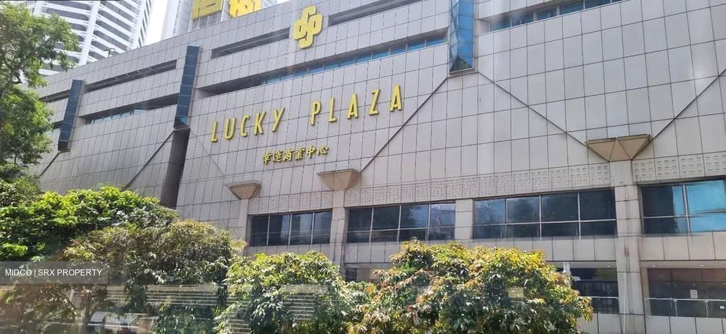 Lucky Plaza (D9), Apartment #583679621